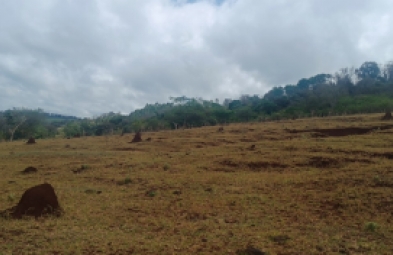 Sítio para venda em Avaré